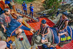 Lễ cúng sức khỏe cho voi - nét văn hóa riêng nơi đại ngàn Tây Nguyên