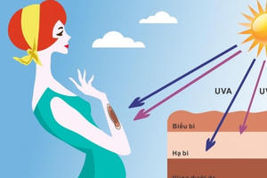 Khu vực miền Trung và miền Nam chỉ số UV cực đại