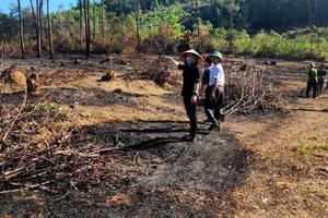 Hà Tĩnh: Phát hiện thi thể cụ ông sau khi dập tắt đám cháy