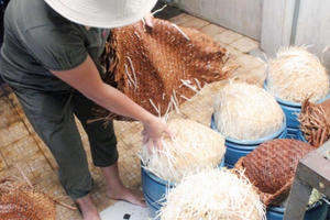 Điểm báo ngày 20/2/2017: Giá đỗ làm bằng…hóa chất