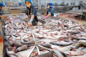 Slide - Điểm tin thị trường: Xuất khẩu thủy sản sụt giảm