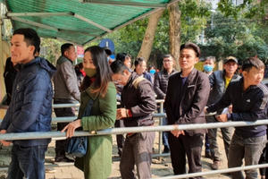 Dòng người xếp hàng làm hộ chiếu, giấy thông hành “xuất ngoại” đầu năm