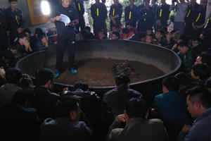 Điện Biên: Tạm giữ 52 đối tượng, thu 180 triệu đồng tại sới đá gà ăn tiền