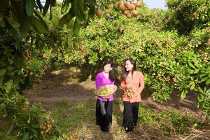 Nâng cao chuỗi giá trị trong phát triển du lịch TP Bạc Liêu