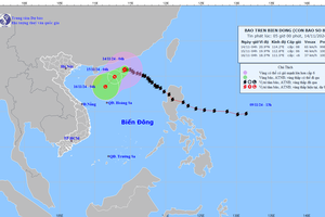 Cơn bão số 8 đang suy yếu thành áp thấp nhiệt đới