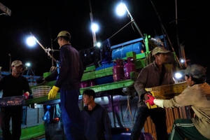 Trắng đêm mưu sinh ở cảng cá lớn nhất miền Trung