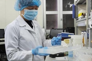 Virus SARS-CoV-2 đã có sự tiến hóa, khác biệt