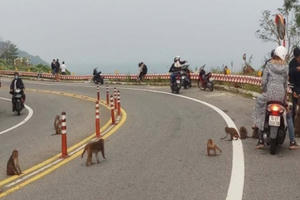 Đừng vì chụp ảnh mà hại thân, hại xã hội