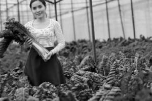 Khi ngân hàng không chỉ là nơi cấp vốn cho doanh nghiệp