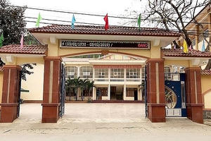 Nghệ An: Phó Chánh văn phòng huyện sử dụng bằng giả hơn 20 năm