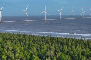 Thủ Tưởng Chỉ thị đảm bảo cung ứng điện, cung cấp than, khí cho sản xuất điện