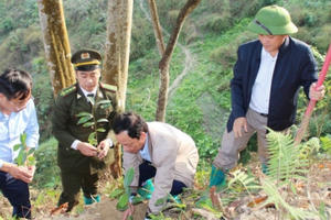 Hà Giang phát động trồng cây với chủ đề “Hành trình biên cương xanh”