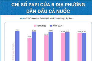 Quảng Ninh dẫn đầu, chỉ số PAPI năm 2024