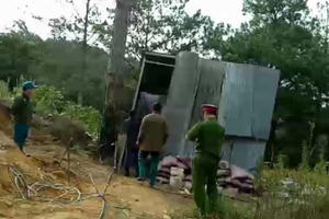 Lâm Đồng: Xử lý các đối tượng có hành vi lấn chiếm, sang nhượng đất trái phép