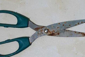 Mâu thuẫn cá nhân, anh trai dùng kéo đâm em ruột tử vong