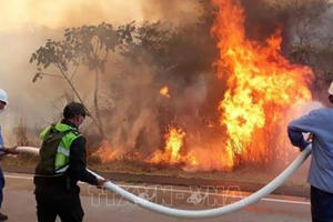 Vấn đề toàn cầu: Gần 2 triệu ha rừng Amazon bị 'thiêu đốt' Vấn đề toàn cầu: Gần 2 triệu ha rừng Amazon bị 'thiêu đốt'