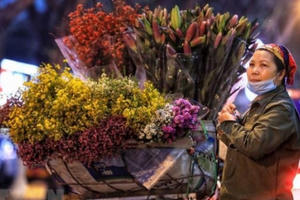 Các cửa hàng hoa tươi ở Hà Nội ế ẩm, ảm đạm trong dịp 8/3