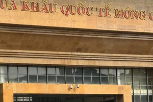 Kịp thời dập tắt đám cháy tại khu vực Cửa khẩu quốc tế Móng Cái