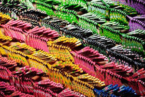 Người đàn ông tật nguyền đưa chuồn chuồn tre xuất ngoại