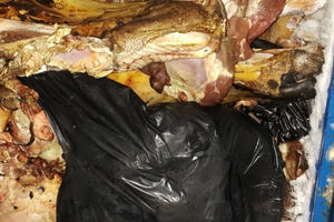 Bình Dương:  Phát hiện cơ sở "hô biến” thịt bò thối thành thịt bò tươi bằng hóa chất