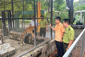 Làm rõ nguyên nhân 20 cá thể hổ Bengal và 1 cá thể báo đen chết trong Khu du lịch Vườn Xoài