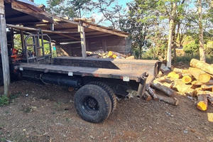 Tỉnh Đắk Nông chỉ đạo cơ quan chức năng phối hợp điều tra vụ phá rừng quy mô lớn