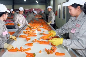 Hải Phòng: Công ty Hiền Lê đầu tư hơn 430 tỷ đồng vào dự án chế biến nông sản công nghệ cao Hải Phòng: Công ty Hiền Lê đầu tư hơn 430 tỷ đồng vào dự án chế biến nông sản công nghệ cao