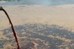 Đứng đầu và... đội sổ