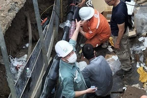 Điện lực Hà Nội xử phạt hành vi vi phạm hành lang an toàn lưới điện