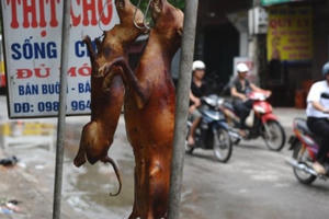 Lãnh đạo Hà Nội mong người dân thay đổi thói quen ăn thịt chó, mèo Lãnh đạo Hà Nội mong người dân thay đổi thói quen ăn thịt chó, mèo
