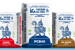 Công ty cổ phần Xi Măng Vicem Hà Tiên bị xử phạt và truy thu thuế hơn 2,6 tỷ đồng