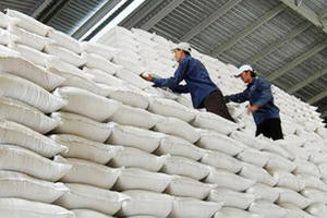 Xuất cấp hơn 431 tấn gạo dự trữ hỗ trợ người dân dịp Tết