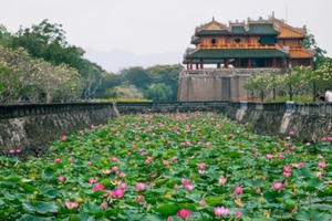 Những ngọn gió ngát hương…