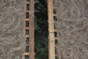 Hà Nội: Cận cảnh "miến bẩn" phơi trên cống rãnh hôi thối, nhuộm "khói bụi"