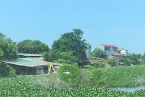 Vĩnh Phúc: Thành lập đoàn kiểm tra đất đai tại huyện Yên Lạc sau phản ánh của Pháp luật Plus