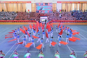 Bổ sung kinh phí tổ chức Hội khỏe Phù Đổng toàn quốc lần thứ X