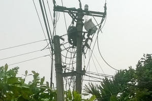 Lâm Đồng: Sửa điện trong vườn, người đàn ông bị điện giật tử vong Lâm Đồng: Sửa điện trong vườn, người đàn ông bị điện giật tử vong