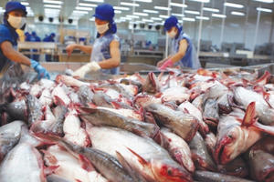 Vì sao cổ phiếu HVG của Thủy sản Hùng Vương bất ngờ bị hủy niêm yết?