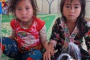 Ăn thử lá ngón, hai bé gái người Mông suýt mất mạng
