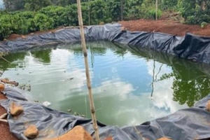 Đắk Nông: Nhảy xuống ao cứu cháu bị đuối nước, 2 bà cháu tử vong thương tâm