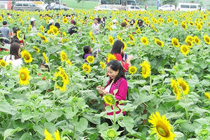 Năm 2022, lượng khách du lịch đến Nghệ An bằng 356% năm 2021