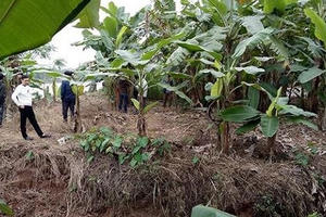 Danh tính 3 người đàn ông tử vong trên sông Hóa