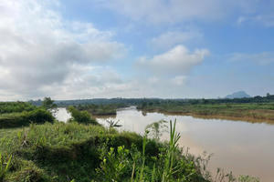 Doanh nghiệp được cấp phép khai thác khoáng sản nhưng không thể triển khai