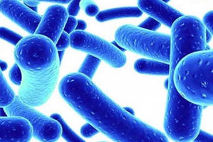 May mắn cho người viêm đại tràng nhờ phát hiện kỳ diệu của người Nhật