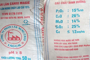 Lân nung chảy Lào Cai nhái logo, bao bì Lân Văn Điển?