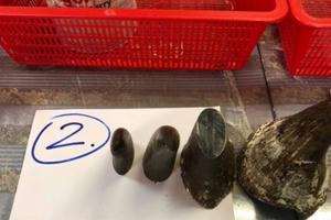 Nam thanh niên tinh quái giấu 12 sừng tê giác trong hộp sữa bột