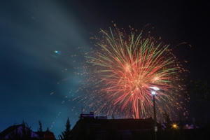 Khai mạc Festival Hoa Đà Lạt 2015