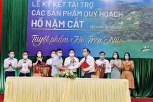 Bắc Kạn bãi bỏ các văn bản chấp thuận chủ trương tài trợ quy hoạch