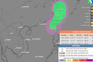 Các tỉnh, thành phố từ Quảng Ninh đến Bình Định chủ động ứng phó với bão Bão Krathon