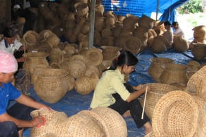 Đảng, Nhà nước luôn quan tâm đến hợp tác xã